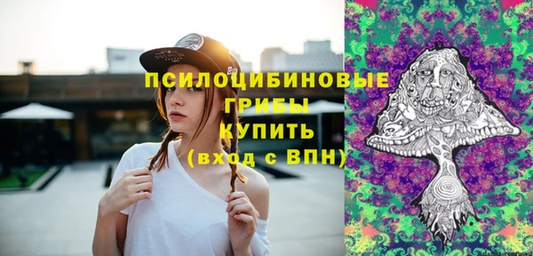 МДПВ Гусиноозёрск