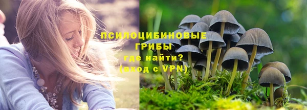 синтетический гашиш Горнозаводск