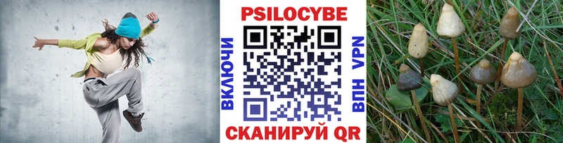 Галлюциногенные грибы ЛСД  Купить закладки  Приозерск 